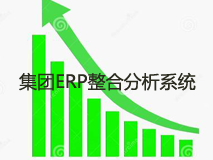 集团ERP整合分析系统